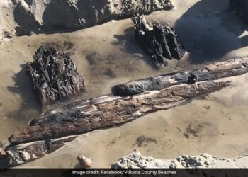 Mysterious 80 Foot Object Appears On A Beach In Florida Officials Clueless