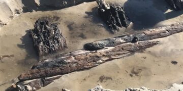Mysterious 80 Foot Object Appears On A Beach In Florida Officials Clueless