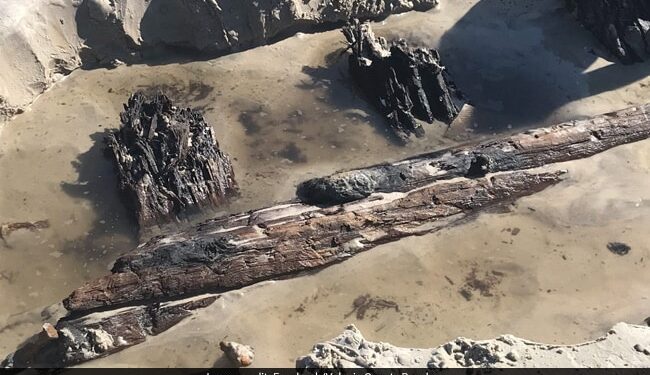 Mysterious 80 Foot Object Appears On A Beach In Florida Officials Clueless