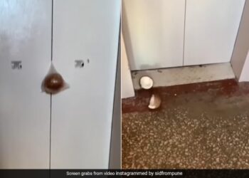 Jugaad To Crack A Coconut Using A Lift Will Blow Your Mind Watch Shocking Viral Video