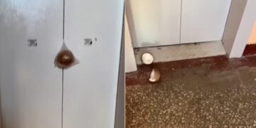 Jugaad To Crack A Coconut Using A Lift Will Blow Your Mind Watch Shocking Viral Video