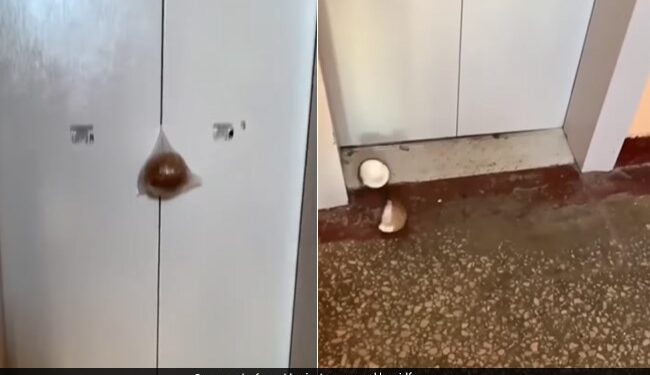 Jugaad To Crack A Coconut Using A Lift Will Blow Your Mind Watch Shocking Viral Video