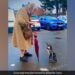 Penguin Following An Elderly Woman In The Parking Lot Then What Happened Next In Viral Video