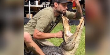 Man Trying To Put His Hand In Crocodile Mouth Then What Happened Next You Will Be Shocked See Watch Shocking Viral Video