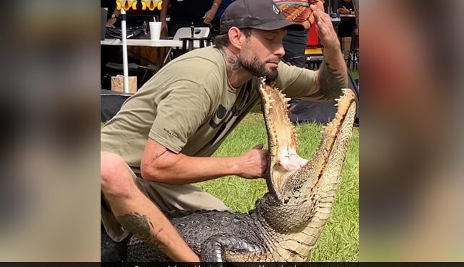 Man Trying To Put His Hand In Crocodile Mouth Then What Happened Next You Will Be Shocked See Watch Shocking Viral Video