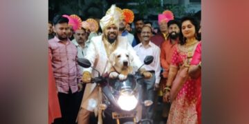 Dog On A Bike Viral Video: Groom Makes Entry With His Pet Dog On A Bike