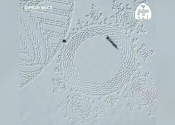 A Person Made Beautiful Artwork With His Feet In The Middle Of The Snow, You Will Be Surprised To See The Video, Watch The Video