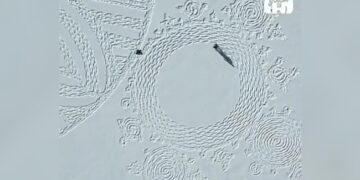 A Person Made Beautiful Artwork With His Feet In The Middle Of The Snow, You Will Be Surprised To See The Video, Watch The Video