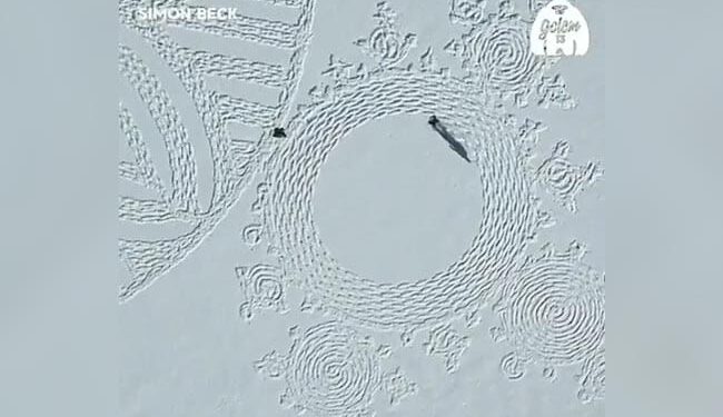 A Person Made Beautiful Artwork With His Feet In The Middle Of The Snow, You Will Be Surprised To See The Video, Watch The Video
