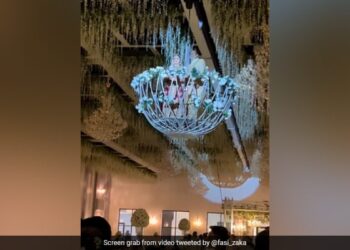 Bride Entry On Wedding Stage With Her Father: Video Of Brides Extravagant Wedding Entry With Father