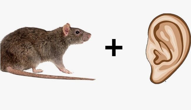 इन दोनों की तस्वीरों को मिलाकर बनता है एक लड़की का नाम, बताकर बन जाए सबसे बुद्धिमान