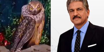 Is That An Animal Or A Person Anand Mahindra Post Will Leave You Amazed Watch Shocking Video