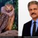 Is That An Animal Or A Person Anand Mahindra Post Will Leave You Amazed Watch Shocking Video