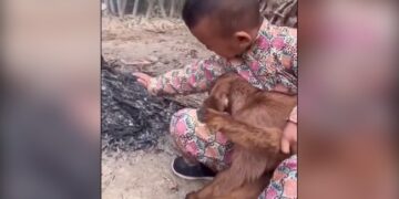Goat Kid Was Feeling Cold Then Little Boy Took Near The Fire Did Heart Warming Act Internet Loves It