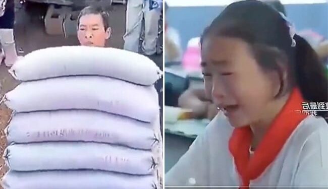 The Girl Started Crying In The Class After Seeing Her Father Working As A Laborer, Users Said – Father Works Hard To Teach Children – पिता को मज़दूरी करते देख क्लास में रोने लगी बच्ची, यूज़र्स बोले