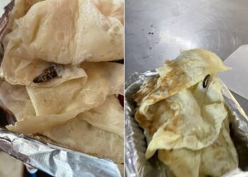 Cockroach Found In Omelette On Mumbai Delhi Rajdhani Express Passenger Shares Ordeal