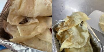Cockroach Found In Omelette On Mumbai Delhi Rajdhani Express Passenger Shares Ordeal
