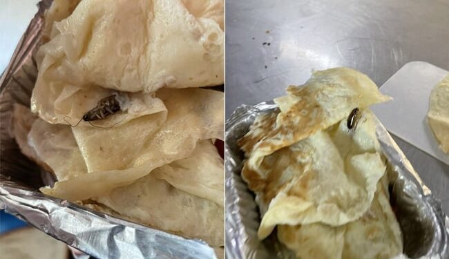 Cockroach Found In Omelette On Mumbai Delhi Rajdhani Express Passenger Shares Ordeal