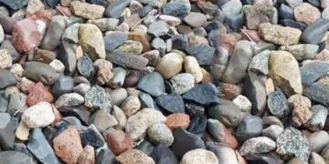 Optical Illusion Find A Frog: A Frog Is Hidden Among The Stones | Can You Spot The Hidden Frog