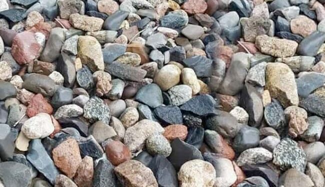 Optical Illusion Find A Frog: A Frog Is Hidden Among The Stones | Can You Spot The Hidden Frog