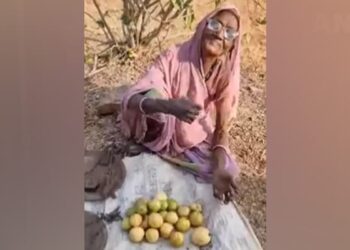 Grandma Was Selling Guava In The Sun, The Person Gave Money Without Buying Guava, Cried And Said – Be Happy – दादी धूप में अमरुद बेच रही थी, शख्स ने बिना अमरुद खरीदे ही पैसे दे दिए, रो कर कहा