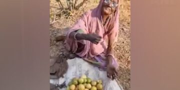 Grandma Was Selling Guava In The Sun, The Person Gave Money Without Buying Guava, Cried And Said – Be Happy – दादी धूप में अमरुद बेच रही थी, शख्स ने बिना अमरुद खरीदे ही पैसे दे दिए, रो कर कहा