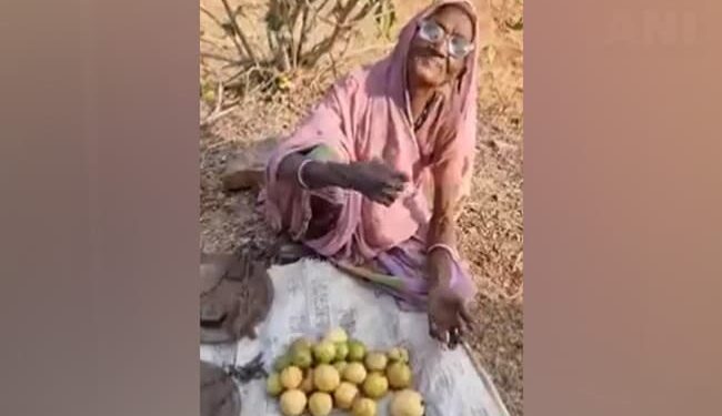 Grandma Was Selling Guava In The Sun, The Person Gave Money Without Buying Guava, Cried And Said – Be Happy – दादी धूप में अमरुद बेच रही थी, शख्स ने बिना अमरुद खरीदे ही पैसे दे दिए, रो कर कहा