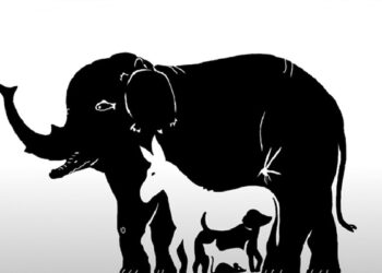 इस तस्वीर में कितने जानवर मौजूद हैं, कोई 3 कहता है तो कोई 5, सही जवाब देकर बने स्मार्ट