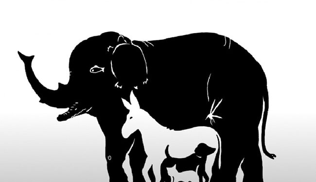 इस तस्वीर में कितने जानवर मौजूद हैं, कोई 3 कहता है तो कोई 5, सही जवाब देकर बने स्मार्ट