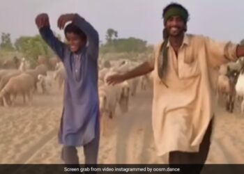 Trending Dance Video: Shepherd Dance Video On Bollywood Song Dulhe Raja Went Goes Viral On Social Media