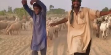 Trending Dance Video: Shepherd Dance Video On Bollywood Song Dulhe Raja Went Goes Viral On Social Media