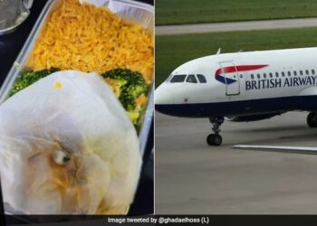 Woman Find Tooth In British Airways Meal Airline Responds Pic Goes Viral