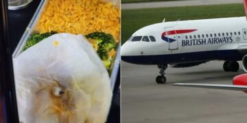 Woman Find Tooth In British Airways Meal Airline Responds Pic Goes Viral