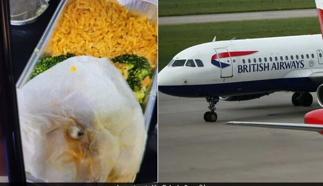 Woman Find Tooth In British Airways Meal Airline Responds Pic Goes Viral