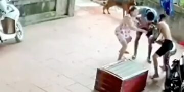 Huge Python Jumps Suddenly Attacks On Man Bites Him On Face Wrapped Tightly What Happened Next See Shocking Video