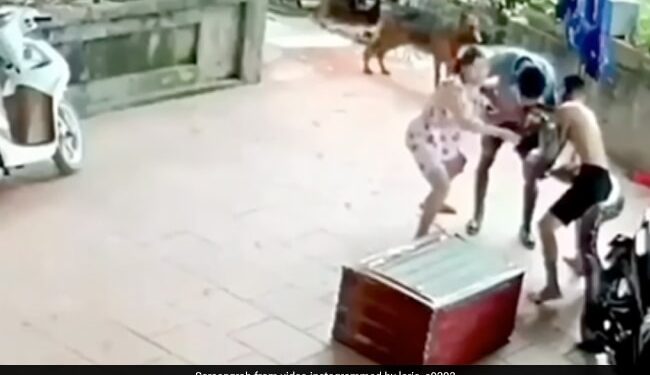 Huge Python Jumps Suddenly Attacks On Man Bites Him On Face Wrapped Tightly What Happened Next See Shocking Video