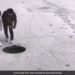 Kids Covering Manhole Video Goes Viral Internet Appreciates The Effort