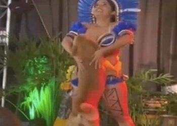 The Dog Did A Tremendous Dance On The Stage With The Woman, People Said – This Is Unimaginable, Watch The Video – महिला के साथ कुत्ते ने स्टेज पर किया ज़बर्दस्त डांस, लोगों ने कहा