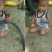 Snake Child Shocking Viral Video: Child Caught Giant Snake