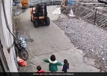 Little Girl Stood In Front Of Crane: Video Of Little Girl Shielding Her Siblings Goes Viral