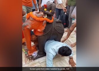 The Man Was Getting Out From Under The Elephant Statue, Got Stuck In The Middle, The Video Is Going Viral