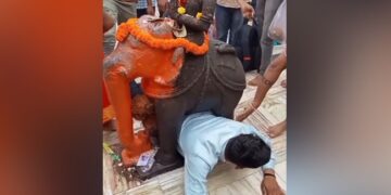 The Man Was Getting Out From Under The Elephant Statue, Got Stuck In The Middle, The Video Is Going Viral