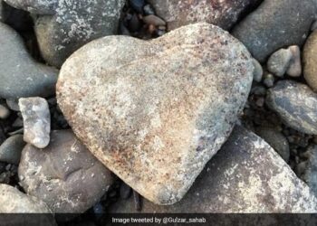 After All, The Stone Of The Heart Is Found, After Seeing This Picture, There Has Been A Stir On Social Media.