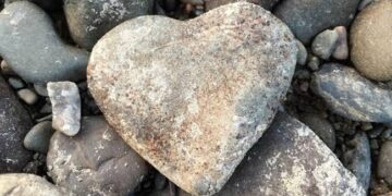 After All, The Stone Of The Heart Is Found, After Seeing This Picture, There Has Been A Stir On Social Media.