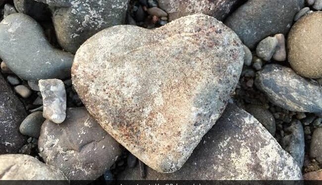 After All, The Stone Of The Heart Is Found, After Seeing This Picture, There Has Been A Stir On Social Media.