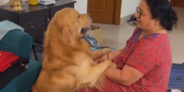 Dog Got Upset When Dadi Was Packing Bags To Go Away From Home Dog Jumped On Her Lap Then Did This See Cute Viral Video