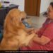 Dog Got Upset When Dadi Was Packing Bags To Go Away From Home Dog Jumped On Her Lap Then Did This See Cute Viral Video