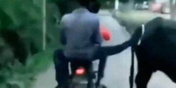 A Person Going On A Bike Kicked A Buffalo, Immediately An Accident Happened, People Said – Like A Tit! – बाइक से जा रहे शख्स ने भैंस को मारी लात, तुरंत एक्सीडेंट भी हो गया, लोगों ने कहा