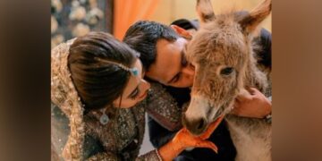 Pakistani Man Gifts His Bride A Donkey In Wedding See Viral Video Heres The Reason Why