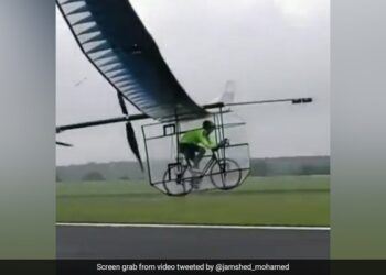 Man Trying To Fly Plane While Riding A Bicycle Stuns Internet Watch Viral Video – साइकिल चलाकर प्लेन उड़ाने की कोशिश कर रहा था शख्स, Video देख दंग रह गए लोग, कहा